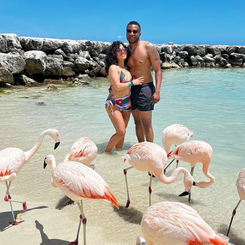 Flamingos De Palm Island